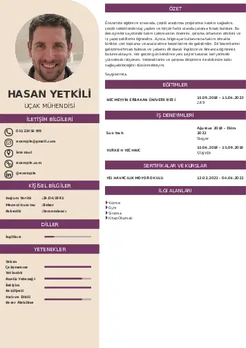 Havacılık Ve Uzay Uçak Mühendisi Cv Örnekleri cv indir